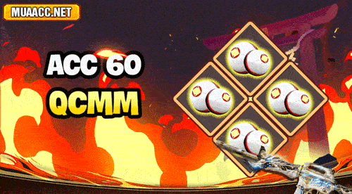 ACC 60 QCMM