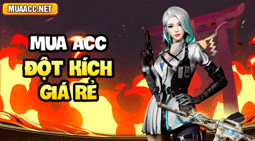 ACC ĐỘT KÍCH GIÁ RẺ