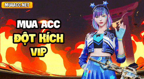 ACC ĐỘT KÍCH VIP